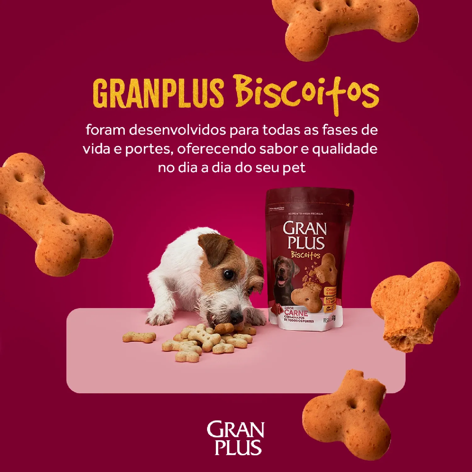 Biscoito GranPlus Caes Adultos Carne 6